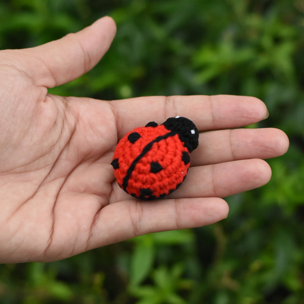 Set of 10 Ladybugs Crochet Amigurumi - Baby Ladybugs Gift