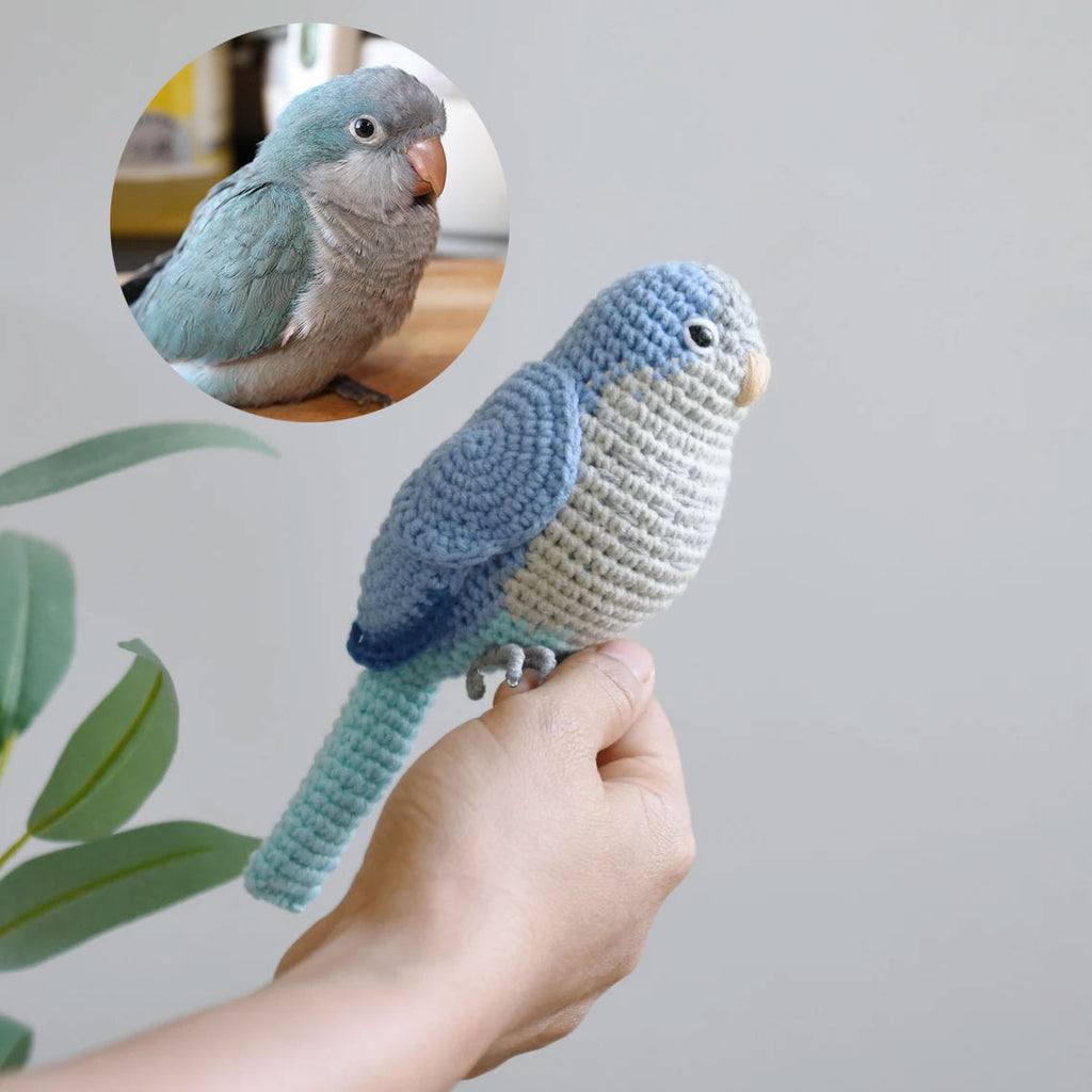 Custom Crochet Budgie Bird - Custom Budgerigar Amigurumi - Custom Quaker Parrot