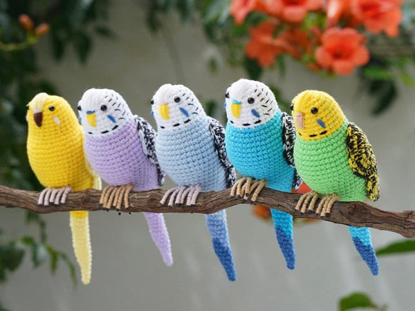 From Budgies to Falcons: How Crochet Captures a Bird's Personality