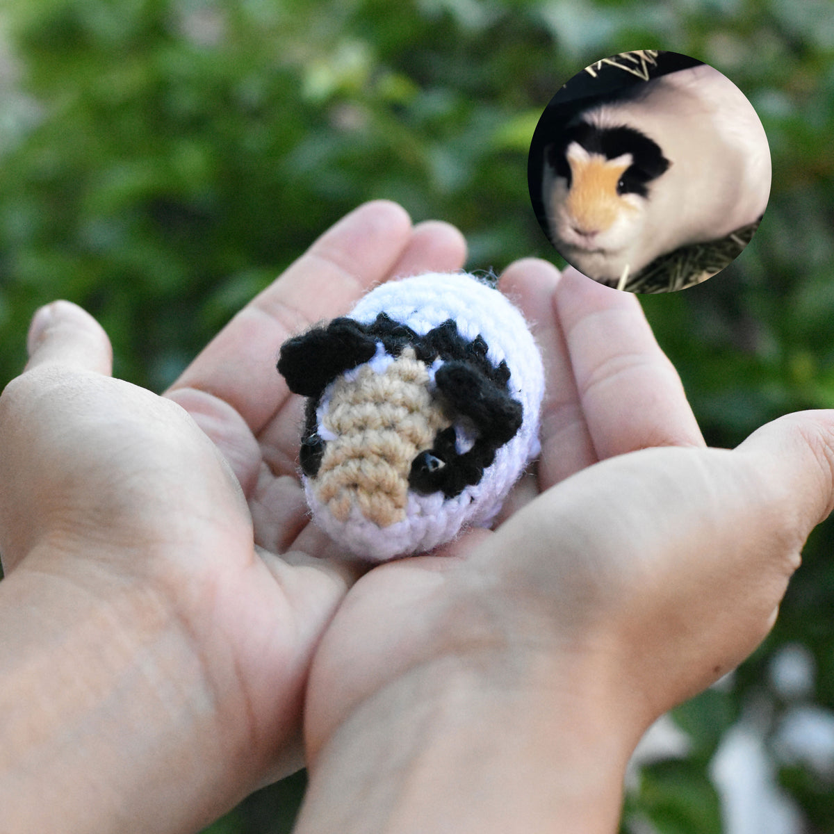 Small white, black, and tan crochet guinea pig resting in cupped hands with an inset pet photo