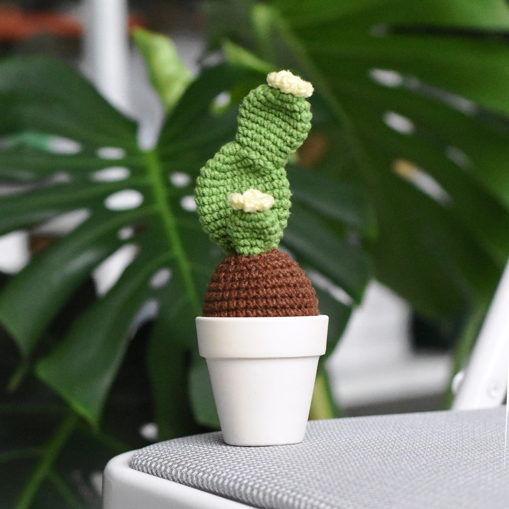 Cactus Pincushion Handmade Crochet Cotton Yarn And Sewing Supply
