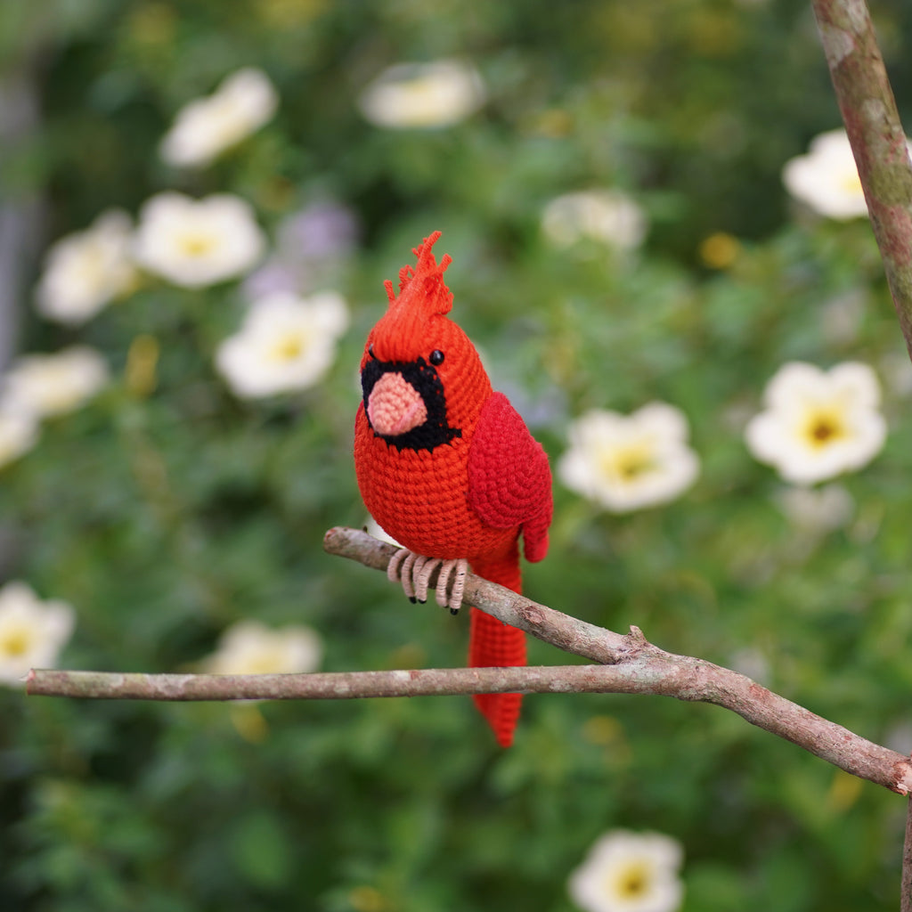 Crochet Cardinal Red bird - Realistic Winter Bird - Amigurumi Stuffed Red Cardinal Bird - Stylish Home Decor - Bird Lover Gift - Finished Plush Toy