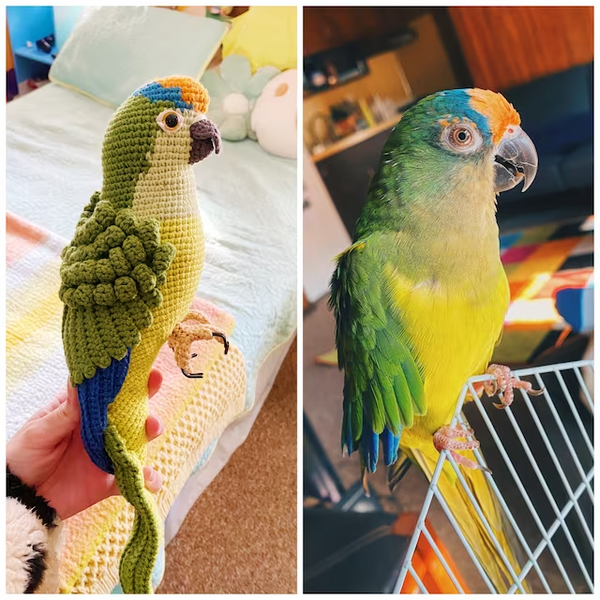 Custom bird crochet - Custom Parakeet Bird Amigurumi - Custom Bird Color