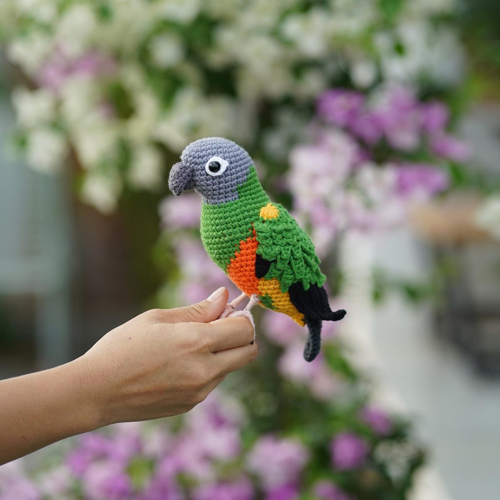 Senegal Parrot Crochet Toy, Handmade Amigurumi Bird, Colorful Parrot Plush, Bird Lover Gift, Tropical Bird Decor