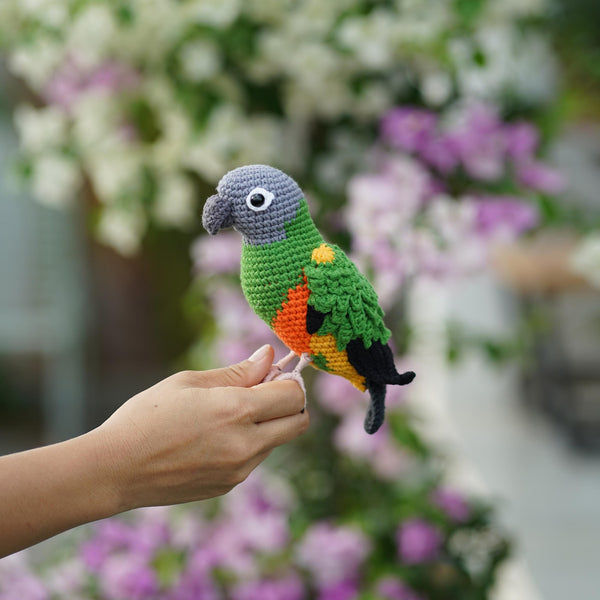 Senegal Parrot Crochet Toy, Handmade Amigurumi Bird, Colorful Parrot Plush, Bird Lover Gift, Tropical Bird Decor
