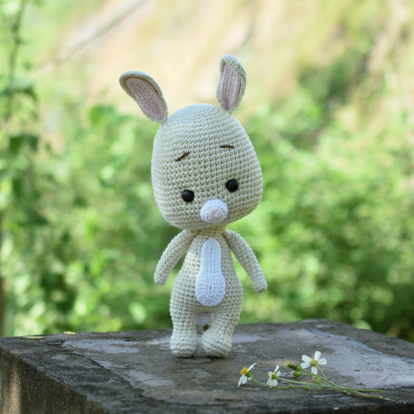 Amigurumi Rabbit, Little Bunny Crochet, Plush Toy for Kid, Handmade Crochet Rabbit, Winnie The Pooh Gift