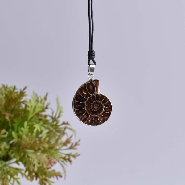 Sea Nautilus Ammonite Fossil Shell Necklace Natural Gemstone Madagascar Pendant - Saigonmade
